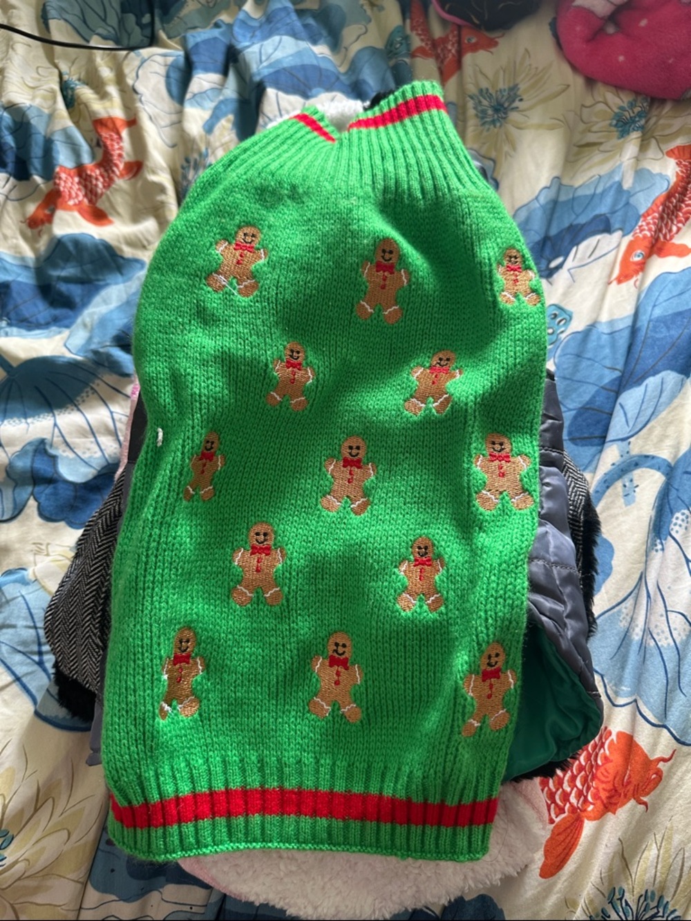 11 pieces of dog clothes - Picture 8 of 12